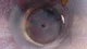 View MC Welding & Fabrication Vertical Pressure Vessel 10.75in x 3ft3in image 4