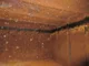 View Safe Harbor ABH-48000 Sump Tank ST64 image 12
