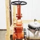 View Zurn Wilkins 10" 350AST Double Check Backflow Preventer image 2