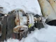 View Williams 6 Inch Class 900 Gate Valve 900/2N image 1