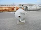 View Smith Industries 24" OD x 10' Horizontal 2-Phase Separator image 6