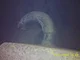 View Dickson Welding Horizontal Air Receiver Tank 48in x 40ft image 7