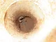 View National Tank Company Horizontal Pressure Vessel 24" x 7' image 4