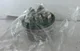 View Jenco 77-RTD 2-Wire Temperature Transmitter image 4