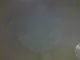 View Exterran Horizontal 3-Phase Separator 24" x 10' image 10