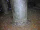 View Cameron Glycol Contactor Tower 20" x 23' image 21