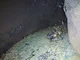 View Smith Industries Glycol Contactor Tower 10-3/4" x 17' image 7