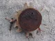 View Nowata 4H801 Vertical Cartridge Filter Housing image 3