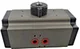 View Posi-flate Tork-Mate 890-250 DA Pneumatic Actuator image 6