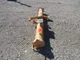 View Hurst Oilfield Vertical Pressure Vessel 8.6" OD x 6'-10" image 9