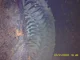 View Dickson Welding Horizontal Air Receiver Tank 48in x 40ft image 8