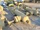 View Cameron Vertical Sand Trap Pressure Vessel, 20" x 5' image 2