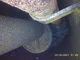 View C-E Natco Glycol Contact Tower 16" x 21'6" image 6