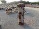 View PECO Full Flow Filter 16" x 3'10" image 3