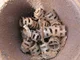 View Texas Tanque Packed Contact Tower 10.75" x 15' image 5