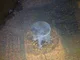View Plant Process Equipment Inc. Gas Scrubber 14" x 6'6" image 8