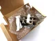 View States ZWM-25003 Terminal Block image 1