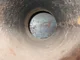 View Atlantic Fabrication and Design Vertical Gas Scrubber SEPV-1604-720, 16" x 4' image 5