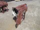 View Facet CS-1224-424 Horizontal Coalescer Filter Vessel image 12