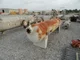 View National Tank Company 30in x 10ft Horizontal 2-Phase Separator image 2
