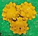 View Atlas Copco 3-7/8" F23 Rotary Tricone Drill Bit image 4