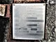 View Nugent 1555-300B-SN-W Coalescing Filter Housing 16" x 5'6" image 5