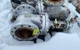 View KF Industries 8 Inch Class 300 Gate Valve GAD04011UX-1 image 2
