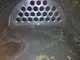 View Xylem Shell and Tube Heat Exchanger 8 5/8" x 7'6" NB 288728 image 12