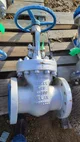 View Velan 6-inch Class 300 Cast Steel Gate Valve F14-1064C-02TY image 1