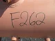 View PECO Facet Horizontal Coalescer Filter Housing 18" x 6'7" Model 55HX-3-660-18-275-6F image 6