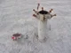 View Nowata 4H801 Vertical Cartridge Filter Housing image 9